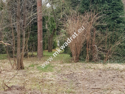 ⭐⭐⭐⭐  Blisko WKD  na dom 2 lokal Media 1600m2 ⭐⭐⭐⭐