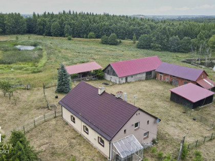 Wyjątkowe siedlisko na Warmii ze stawem – 1 ha