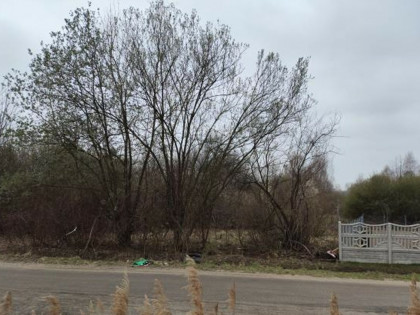 1/3 udziału w prawie własności działek