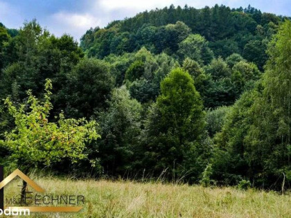 14014m2, w spokojnej części Sosnówki, widok na las