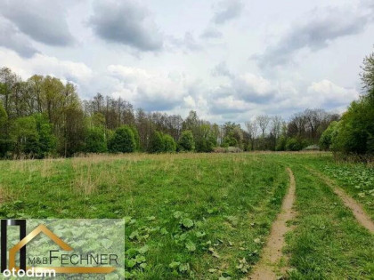 Działka z możliwością zabudowy przez rolnika