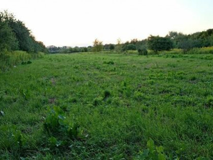 Sprzedam nieruchomość w Nadbrzeżu