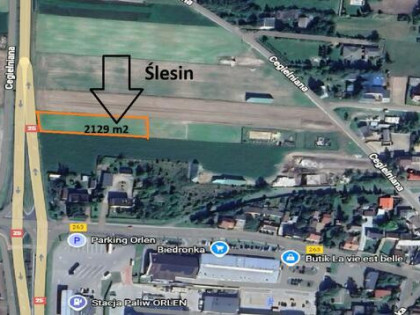 Działka budowlana Ślesin, Cegielniana