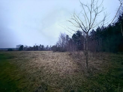 Działka rolna Borkowo gm. Nasielsk,