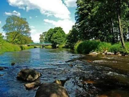 Działka Rolno- Budowlana z Lasem