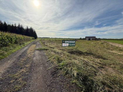 Oferta sprzedaży – działka nr 652/6 Witkowo 8 ar ul Wodociąg