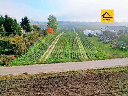 Działka budowlana Zezulin Niższy gm. Ludwin, Zezulin