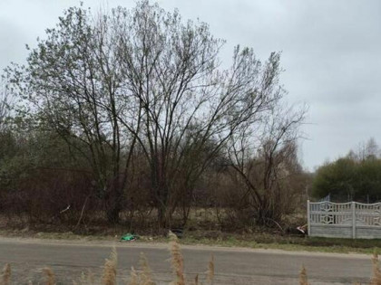 1/3 udziału w prawie własności działek w obrębie Blanowice