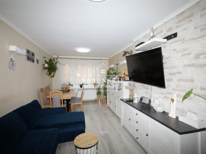 Mieszkanie Golub Dobrzyń Golub Dobrzyń