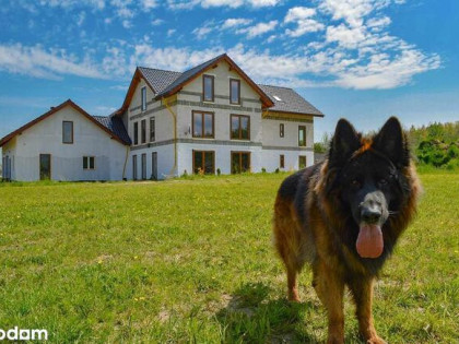 707 m² Nowy dom pod agroturystykę. Rębiszów koło Świeradowa