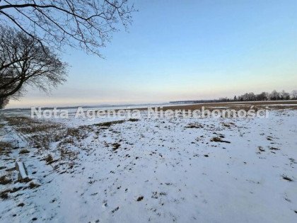 Działka Świebodzice