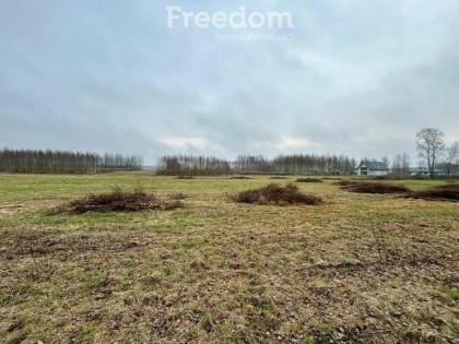 Działka budowlana w Tyborowie