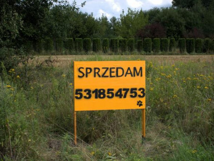 DZIAŁKI ROLNE Z MOŻLIOWOŚCIĄ ZABUDOWY