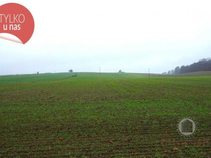 Gronów - działka rolna