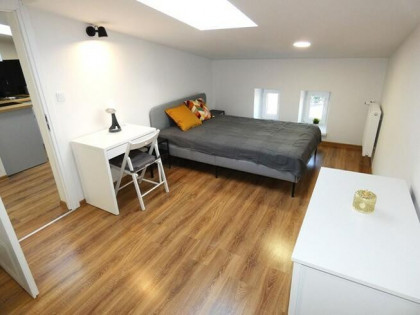 Poznańska 29, Górna, nowe studio pet friendly