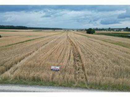 Działka BudowlanA 1800 M2 w Krężnicy Okrągłej