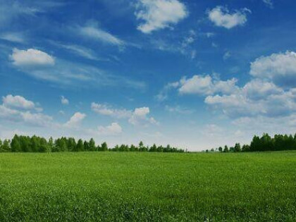 Działki Budowlane 1400 / 1600 m2 Bolumin Władysł. Królewskie