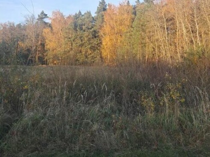 Działka budowlana z warunkami o pow. 1400m2, Dzierzbin