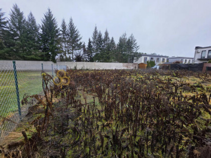 Działka inwestycyjna Poznań gm. Poznań-Grunwald Junikowo,