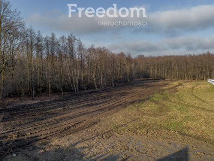 Działka budowlana przy lesie Sośnina!