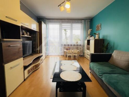 Komfortowe mieszkanie 2-pokojowe w Staszowie