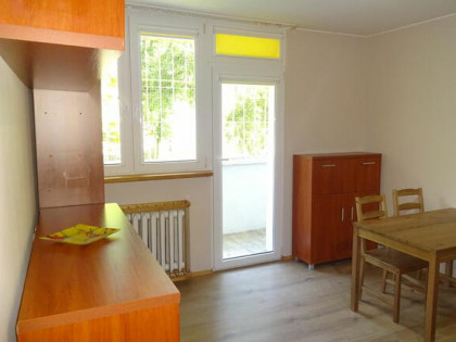 Kawalerka na Dąbrowie