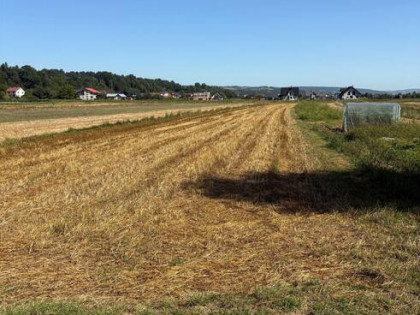 Działka inwestycyjna Podegrodzie
