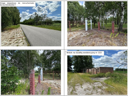 Działka, 57 862 m², Dąbrowica