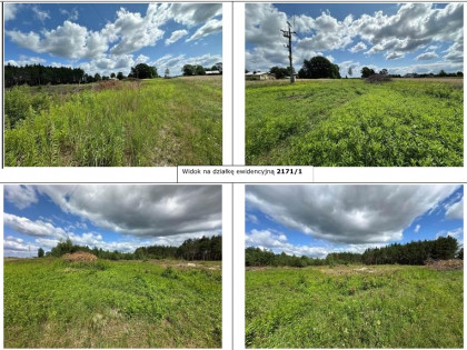 Działka, 25 600 m², Kamień