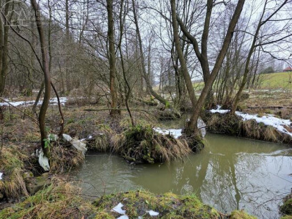 Działka rolna Olszyny gm. Rzepiennik Strzyżewski