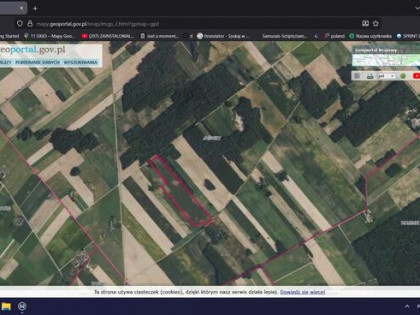 Sprzedam ziemię orną, Jaświły