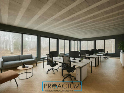 Dom z powierzchnią pod działalność - biura