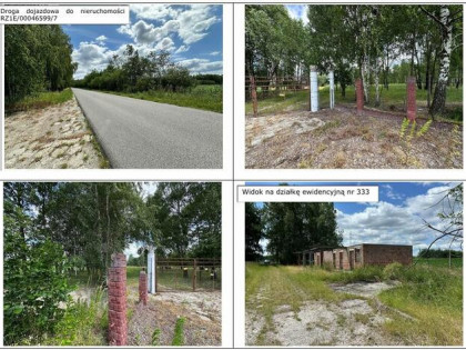 Działka, 57 862 m², Dąbrowica