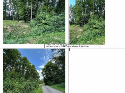 Działka, 900 m², Kamień