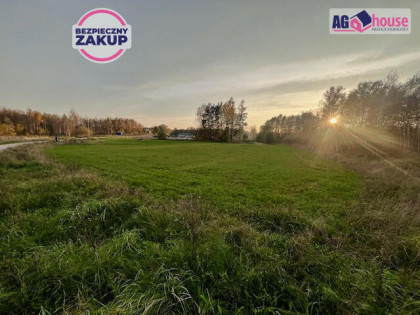 Działka inwestycyjna Pomlewo gm. Przywidz, Kasztanowa