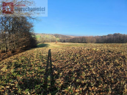 Działka rolno-budowlana Grabie gm. Skawina