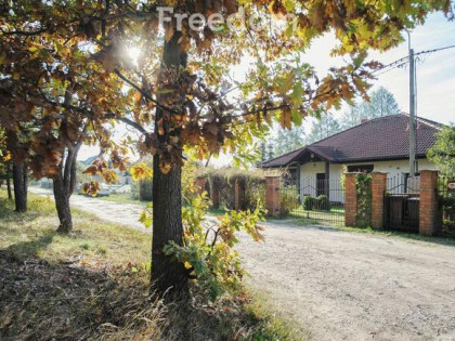 Dzień Pokazowy sobota 13.12.