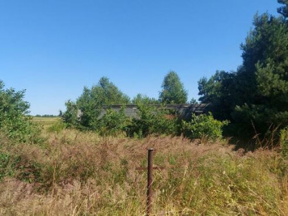 Wojsławice gmina Koziegłowy działka budowlana z częścią ziel