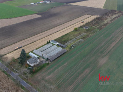 Dom Wielka Wieś gm. Buk, Szamotulska