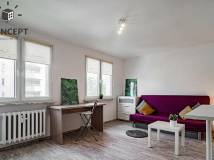 Przestronna| Jasna| Kawalerka| Szczepin|