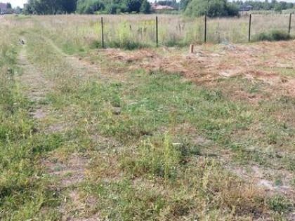 Działka Lipiny - Hajnowka