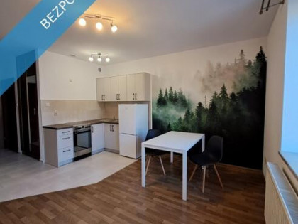 Wynajmę dwupokojowe mieszkanie Kraków/Zabłocie ul.Sarmacka/ parking w cenie