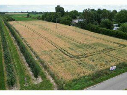 Działki 0,63 ha budowlano-rolne w Ignacowie