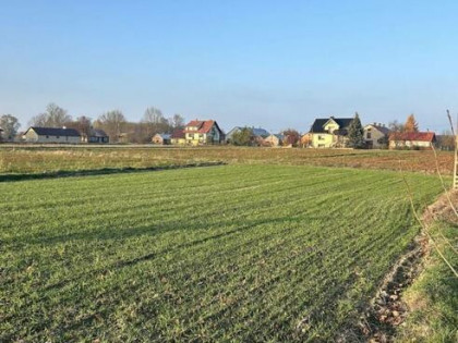 Działka budowlana Stasiówka gm. Łomazy, Stasiówka