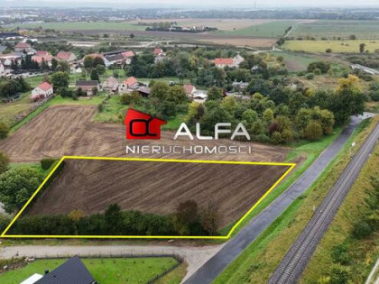 Działka Pszenno gm. Świdnica