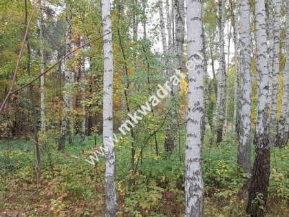 ⭐⭐⭐⭐ Działka budowlano-leśna z M-P-Z-P ⭐⭐⭐⭐