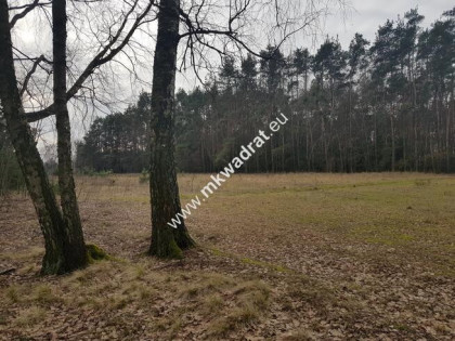 ⭐⭐⭐⭐⭐ Działka z planem zagospodarowania ⭐⭐⭐⭐⭐