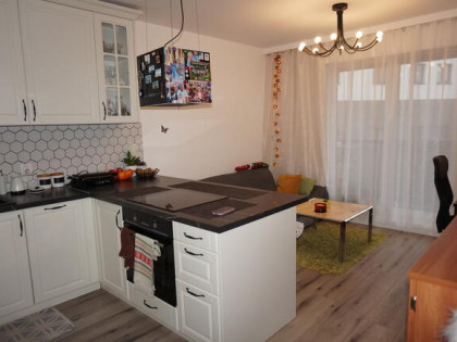 Do wynajęcia nowy apartament 3-pokojowy  Górczyn