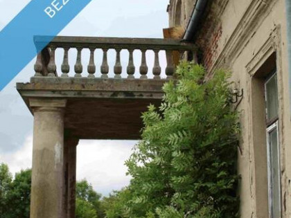 Sprzedam dobrze zachowany dworek w samym sercu Polski