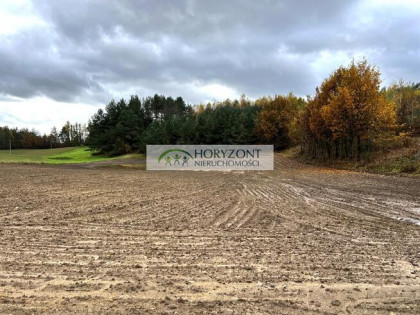 Mściszewice gm. Sulęczyno działka 1,42 ha